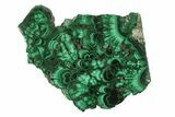 Polished Malachite Slab - DR Congo #264842-1